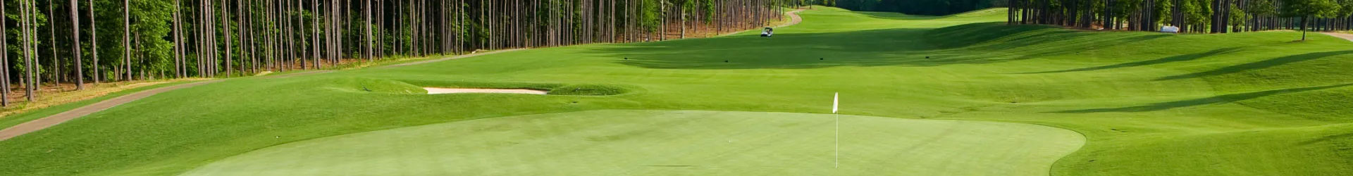 A stunning panoramic view of a lush green golf course with a pristine putting green and tall trees.